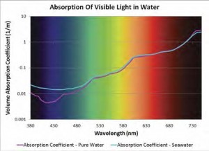 Absorption of visible light in pure water and seawater